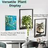 Multifunctional Metal Plant Wall Frame Stylish Wall Mounted Succulent  Hanger  For Home Decor