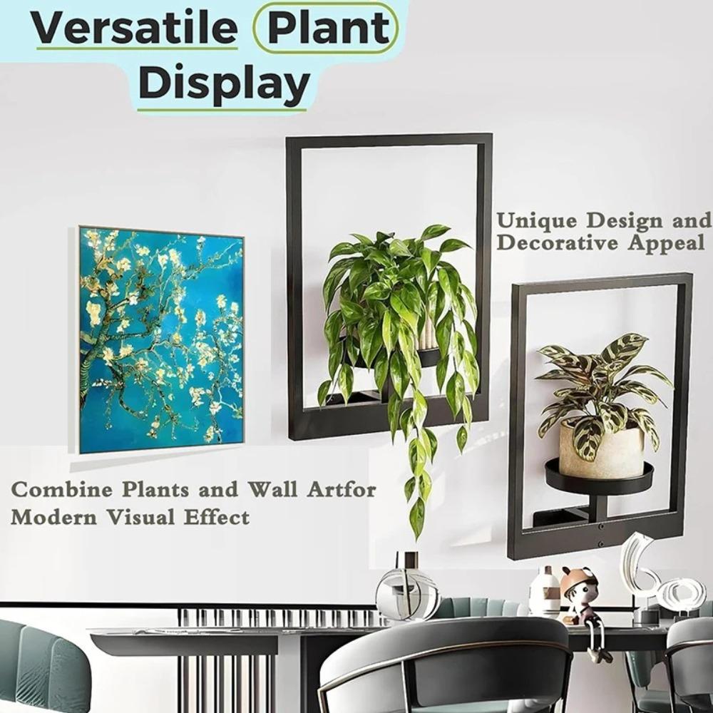 Multifunctional Metal Plant Wall Frame Stylish Wall Mounted Succulent  Hanger  For Home Decor