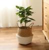 Foldable Woven Straw Flower Basket: Creative Indoor Storage & Decor for Home or Hotel
