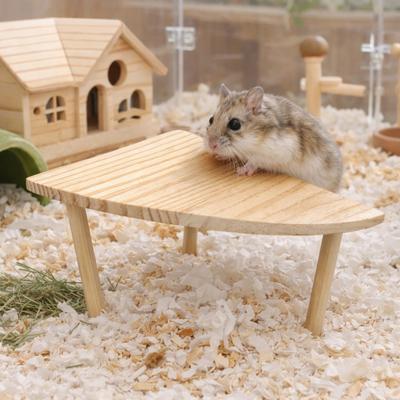 Produtos para animais – Roedores