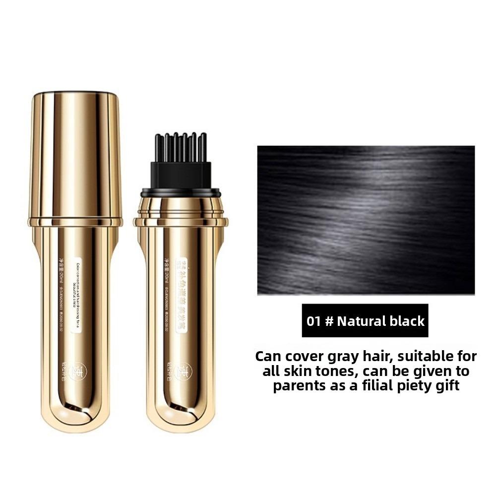 2-in-1 Handy Hair Color Comb Hair Styling Comb Hair Styling Pen Quick Hair Styling Hair Dye Comb Hair Color Tool