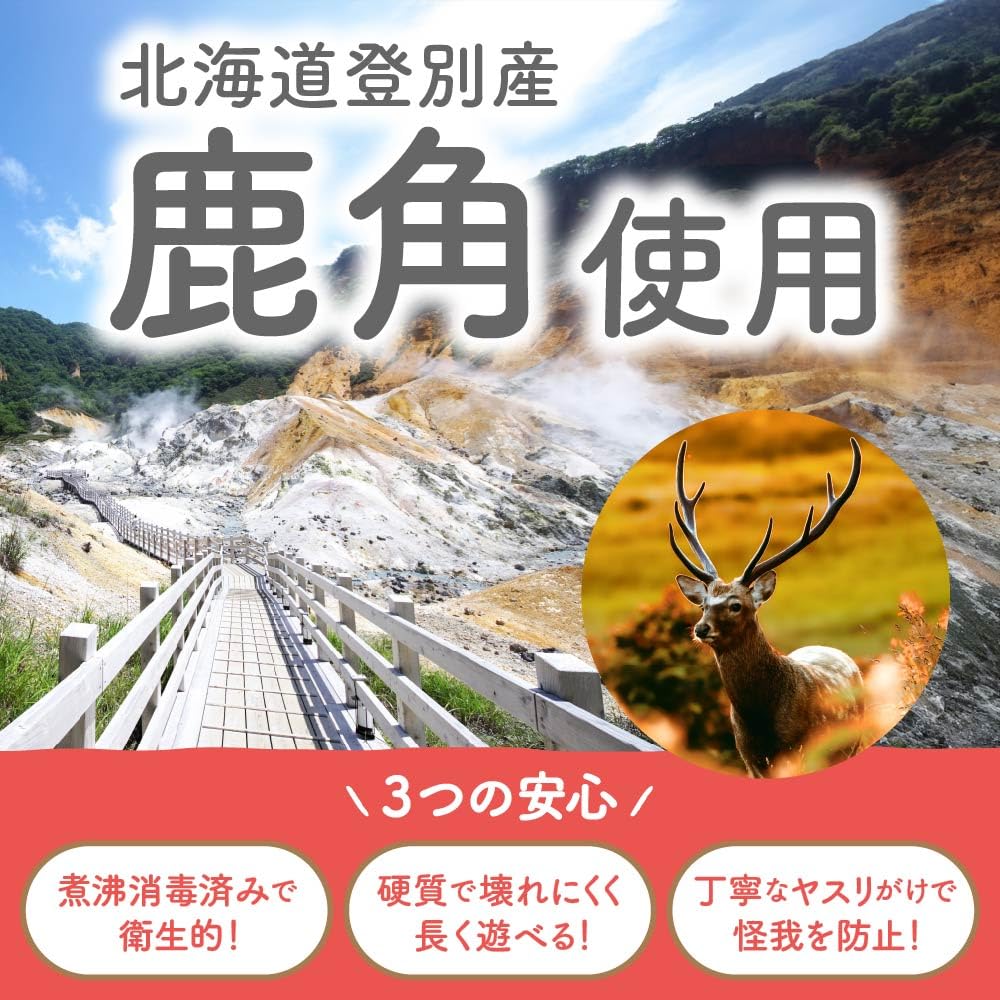 Maruichi Okada Shoten Deer Antler Dog Hokkaido (Large)