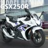 1/12 Scale Suzuki GSX-250R Motorcycle Toy Alloy Diecast Model Sound and Light Toys Rubber Tires Miniature Racing Model Present for Kid