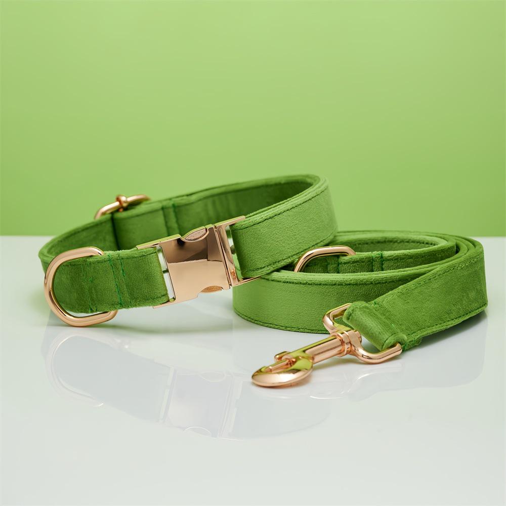 Ensemble collier et laisse pour chien en velours gravé avec boucle métallique réglable