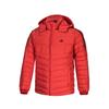 Down Jackets Men's Red Hooded Moderate BQ8578