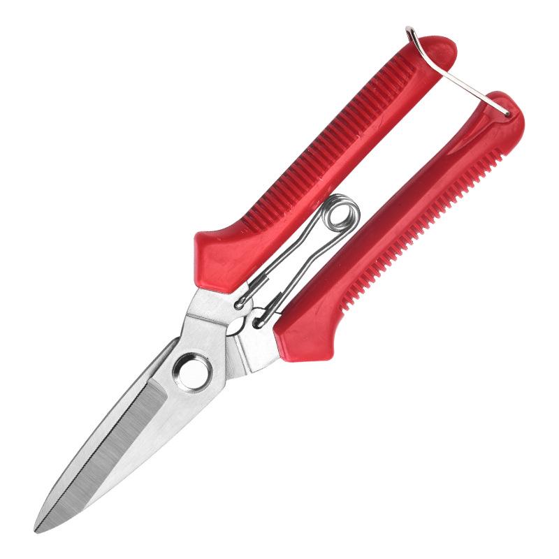 Garden Pruning Shears: Stainless Steel Fruit, Flower, Bonsai, and Branch Thinning Tool.