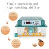 16/36 Egg Incubator Automatic Integrated Egg Candler, Temperature Control Egg Hatcher for Hatching Chicken Duck Quail Eggs
