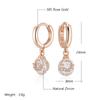 Rose Gold Color Drop Earrings For Women Fashion White Natural Zircon Accessories Daily Fine Jewelry Crystal Gift