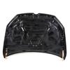Langyu TR Style Carbon Fiber Engine Hood for Golf 7