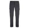 Salewa Брюки Baranci Durastretch