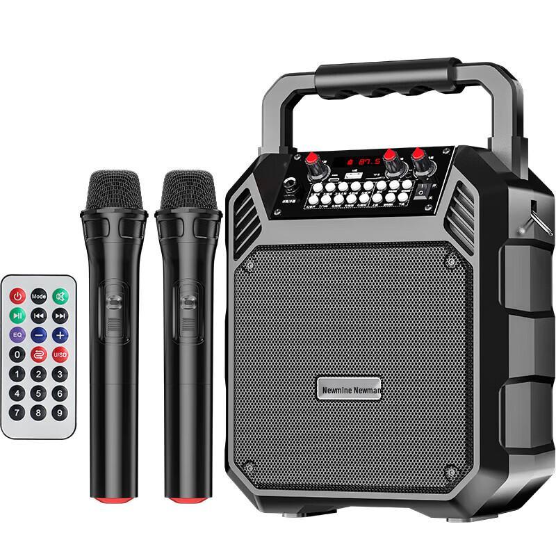 Newmine K503 Portable Bluetooth Karaoke Speaker CN plug (adapter included)