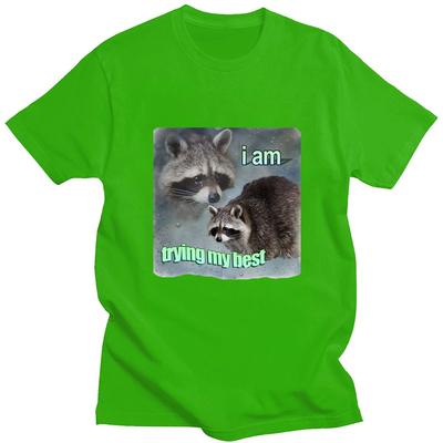 I Am Trying My Best Raccoon Meme T Shirt Funny Print Men Women T-shirt Loose Leisure Fashion Short Sleeve Cotton Cozy T Shirts