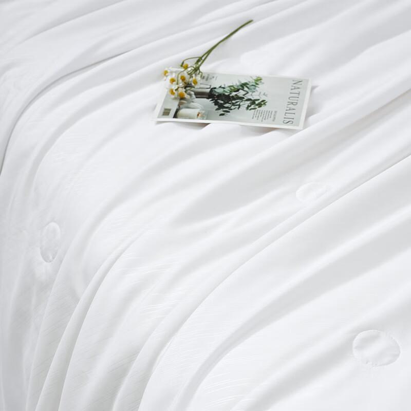 

Fuanna Antibacterial Tussah Silk Summer Quilt