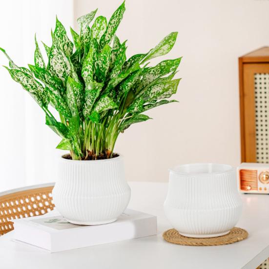 Automatic Water-absorbing Flowerpot with Vertical Grain Texture White Nordic Style Flower Pot for Home Decor