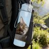 1PC Lazy Tabby Cat Sleep Pose 750ml Color Plastic Sports Water Bottle Leakproof Flip Straw Lid Suitable for Sports Office Home Use