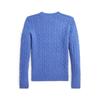 Polo Ralph Lauren Einfarbig Kleines Pony Bestickt Zopfmuster Rundhals Slim Fit Langarm Pullover Damenpullover Blau WMPOSWENC021034-400