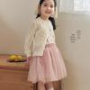 Girls' Iridescent Princess Mesh Skirt