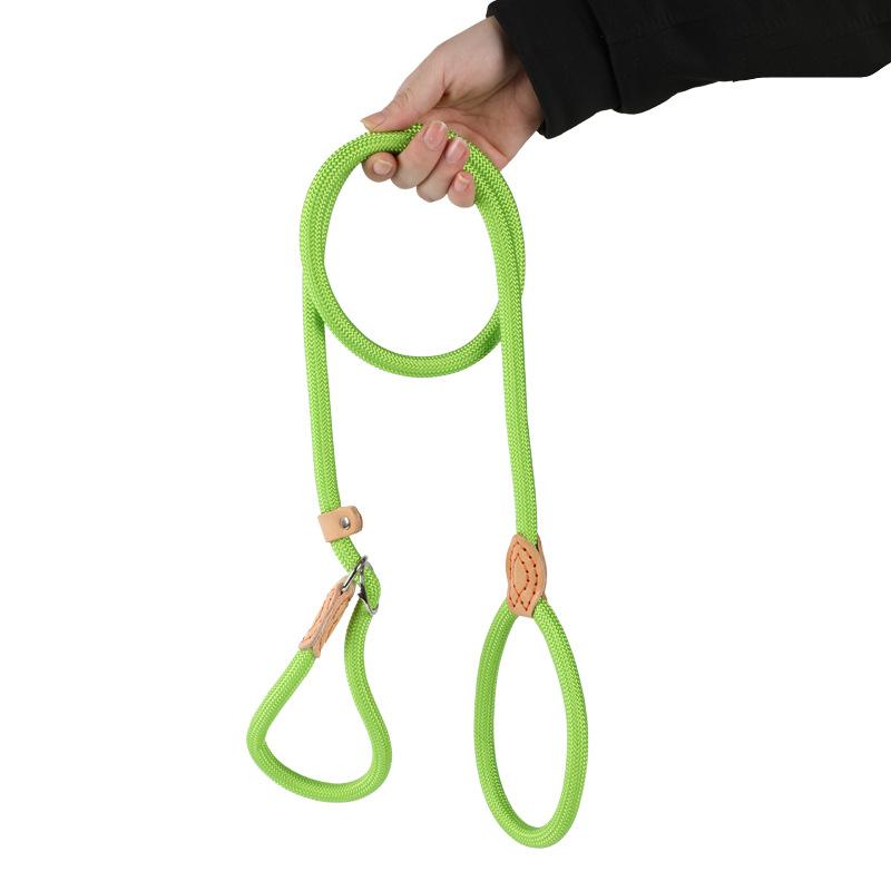 Dog Leash Grass Green, Pet Walking Leash for Outdoor and Everyday Use
