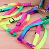 Pet Strap Puppy Chest Harness With Lead Leash