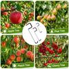10 PCS Rubber Hooks Branch Bender Metal Tree Branch Spreader Tree Shaping Limb Spreader  Fruit Trees