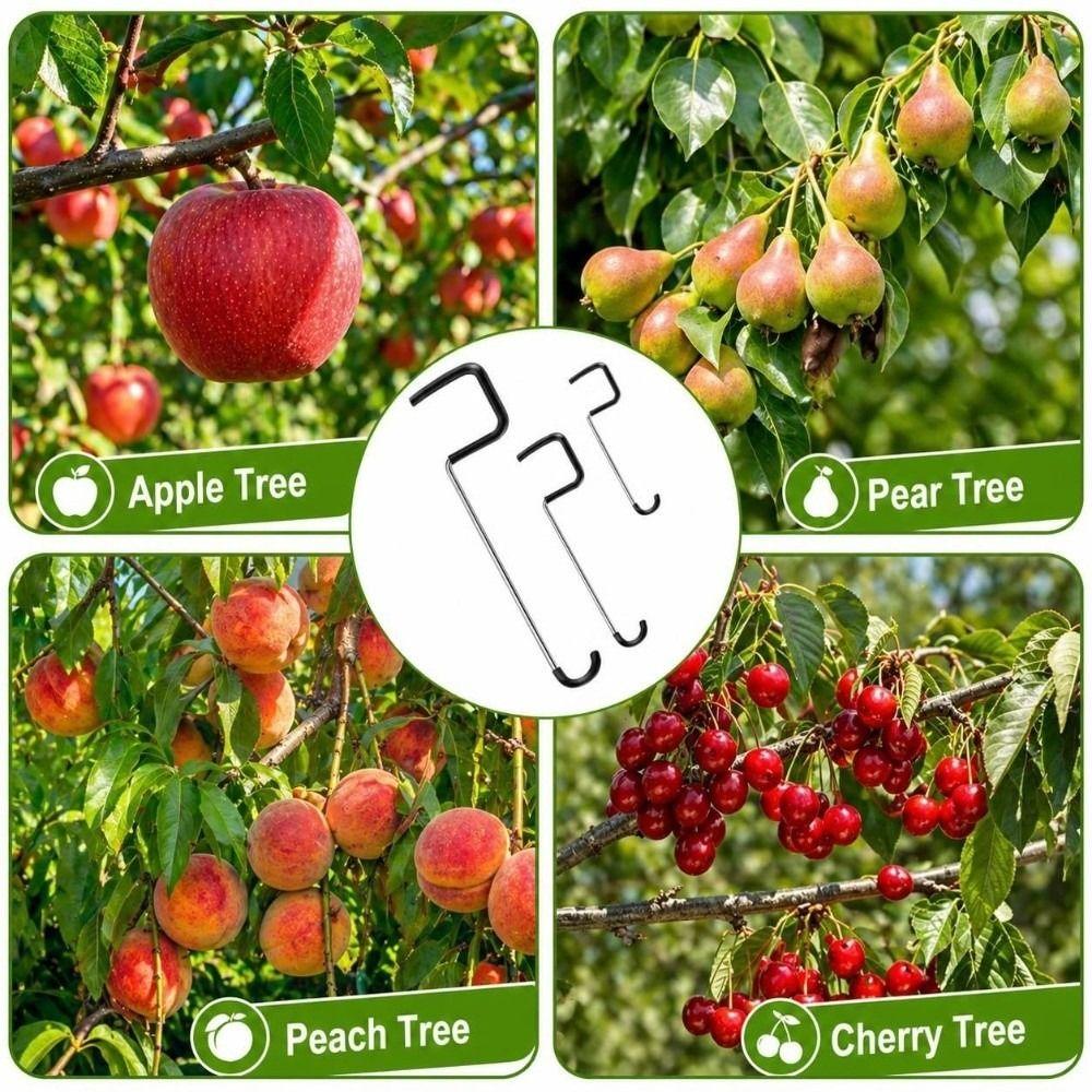 10 PCS Rubber Hooks Branch Bender Metal Tree Branch Spreader Tree Shaping Limb Spreader  Fruit Trees