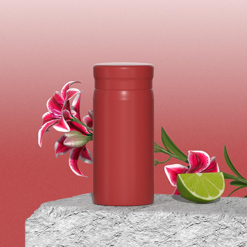 WATERSY 200ml 300ml Acier Inoxydable 316 Mini Gourde à Double Paroi Isolée par le Vide Tasse Thermique pour Boissons Chaudes Froides Tasse de Voyage