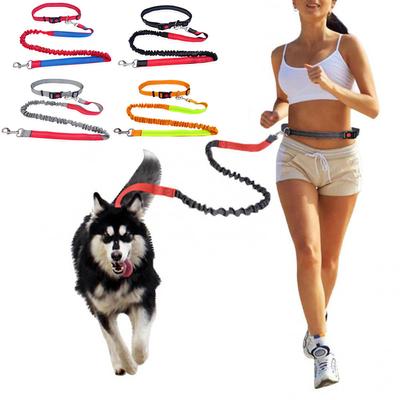 Koşu ve Yürüyüş İçin Dayanıklı Elastik Naylon Köpek Tasması Rahat Tutuşlu Evcil Hayvan Tasması, Aktif Köpekler ve Evcil Hayvan Sahipleri İçin İdeal
