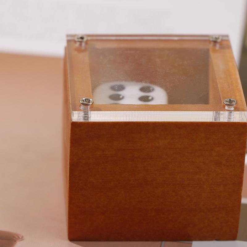 Vorhersagen von Zaubershows, Würfel in der Box, Zaubertipps, Zauberrequisiten, Spielzeug