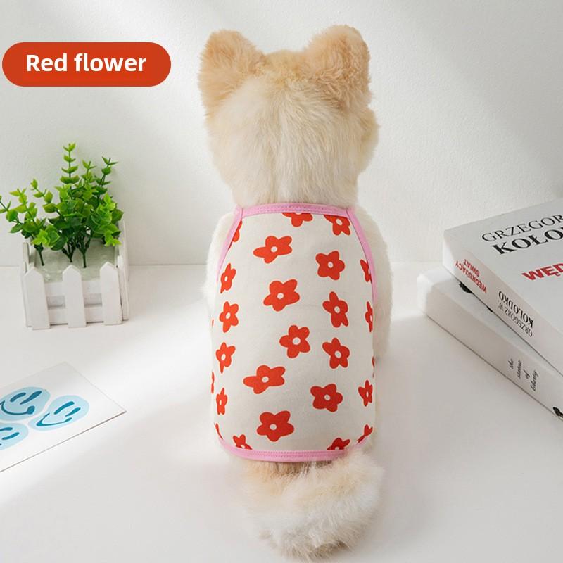 Velký mazlíček pes pes kočka oblečení vesta jaro a léto chladný teddy magic bojové potřeby