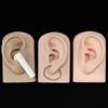 Silicone Ear Model for Piercing Practice and Jewelry Display Realistic Left and Right Human Ear Simulation Ears Replicas