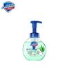 Safeguard Aloe Scent Antibacterial Foam Hand Wash