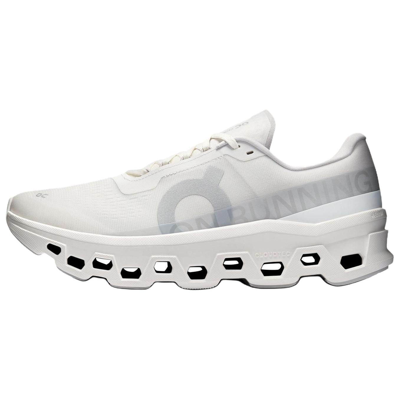 Мужские кроссовки Cloudmonster White Silver 3MF30741200 42