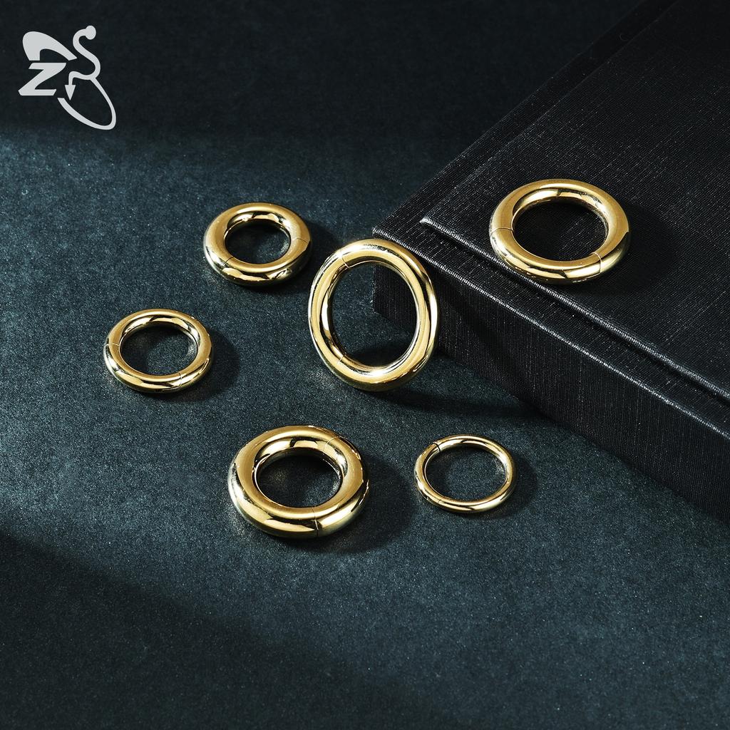 ZS 1 ST 12/10/6/4/2G G23 Kwaliteit Titanium Staal Neusring Mannen Vrouwen Grote Gauge Oor Verbreders Septum Piercing Segment Clicker Ringen