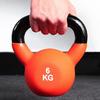 Women's and Men's Painted Cast Iron Kettlebell - Personal Trainer and Handheld Fitness Equipment.