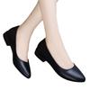 Pointed Toe Flat Shoes Soft Leather Soft Sole Work Ladies All-match Low Heel Shallow Mouth Women's Shoes