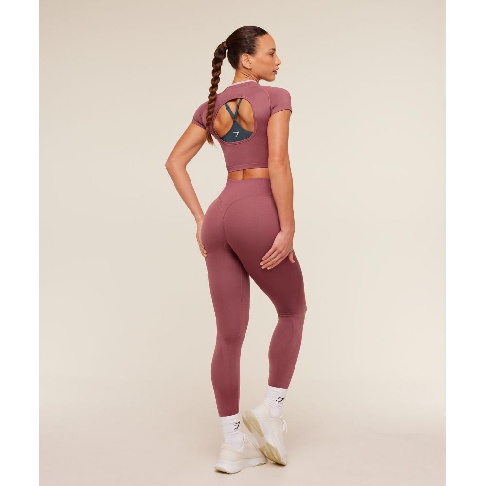 Gymshark Interval Seamless Short Sleeve Crop Top Reset Pink Light Pink B6b1k Kd 