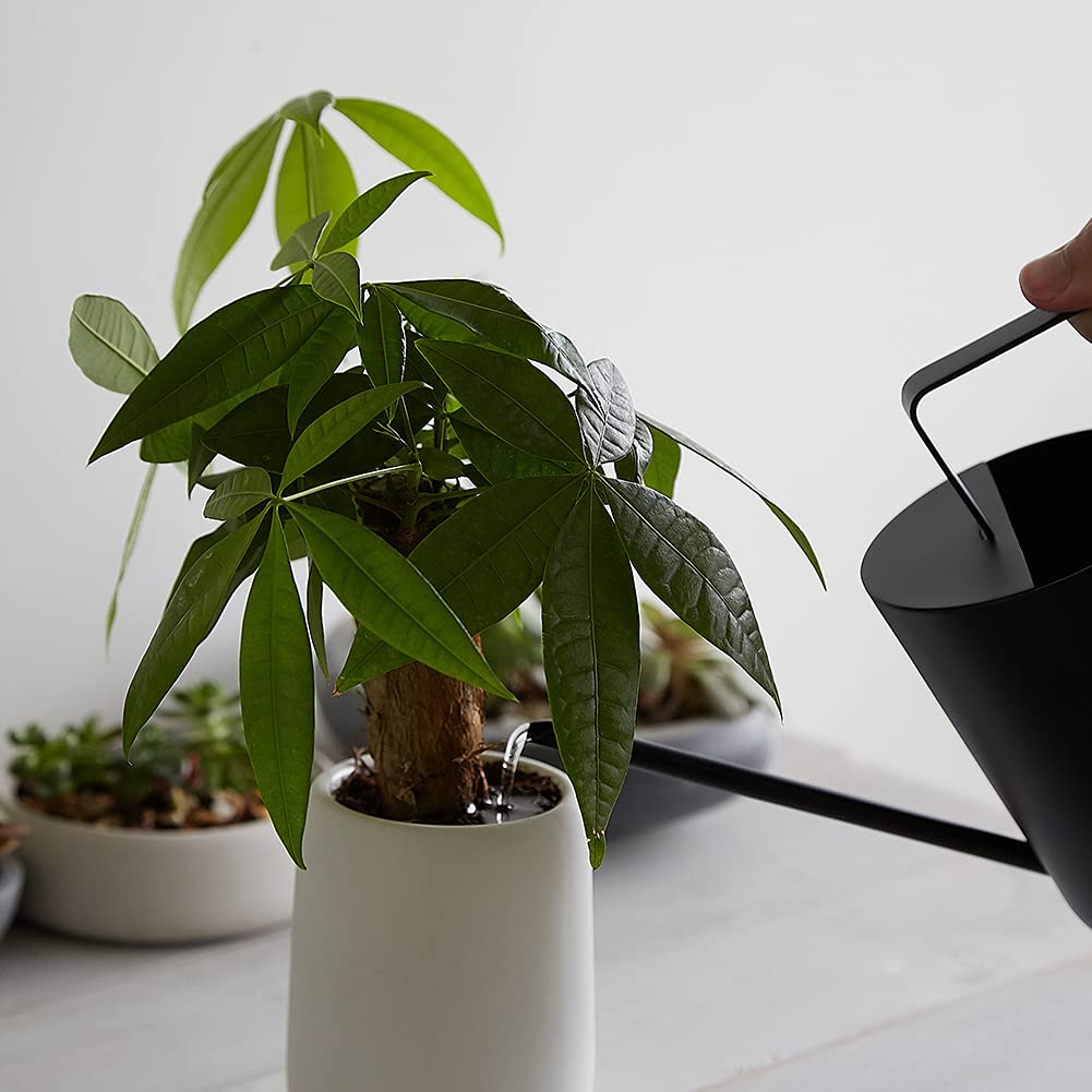 KEINN 800ml Watering Stainless Indoor Gardening Watering for Easy To 800ML Can, Steel, Stylish, Tool, Can, Houseplants, Carry, (Black)