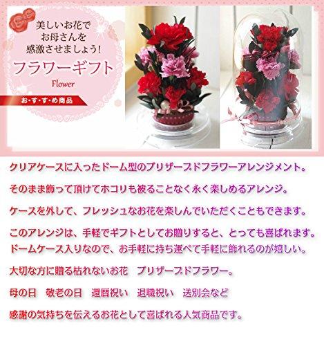 Mother's Day Gifts for Facilities, Get-Well Gifts, Preserved Flowers, Vitamin Colors, Yellow, Orange, Carnations