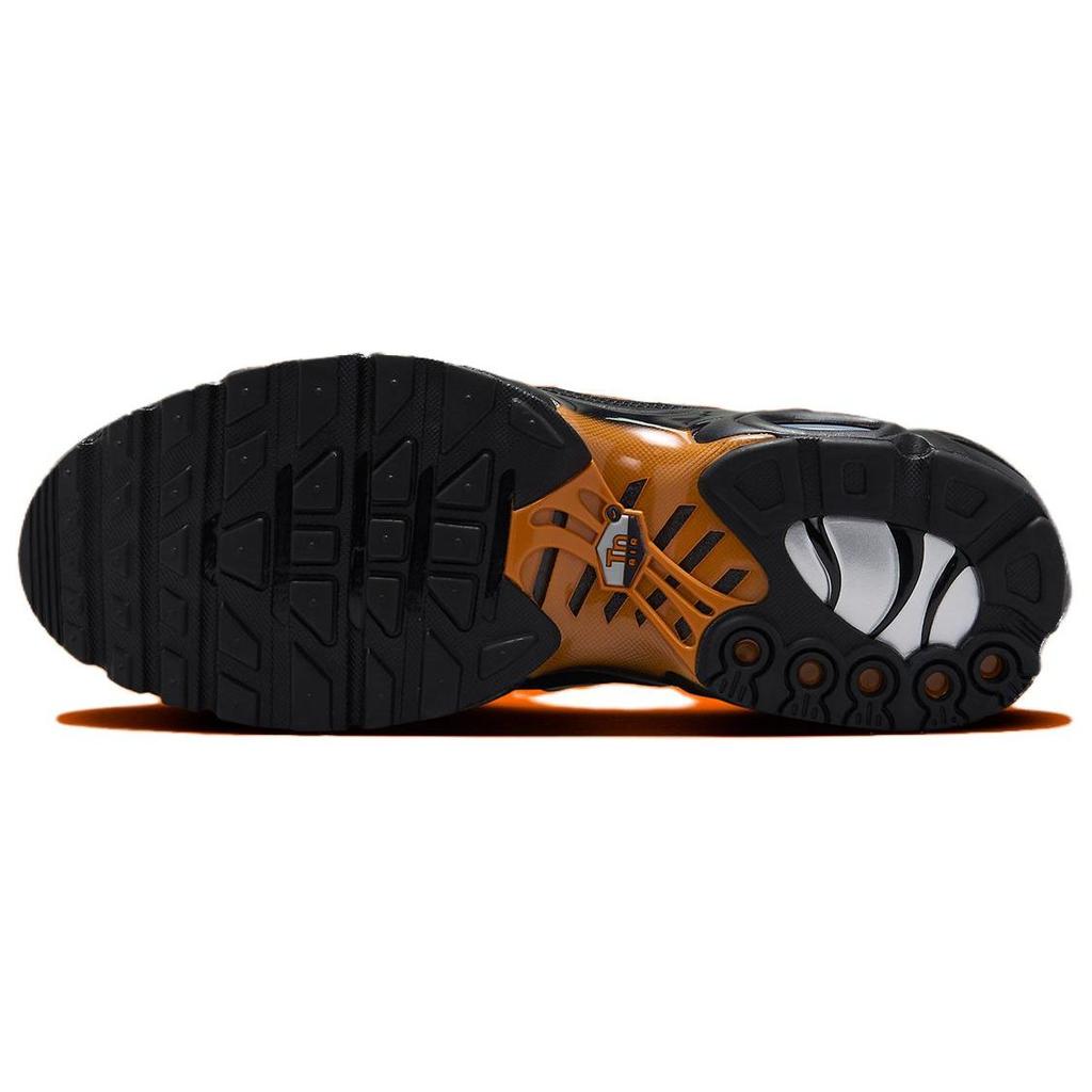 Nike Air Max Plus Dark Obsidian Monarch Herre Sneakers Blå Svart Hvit FN6949-400