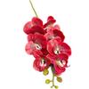 6pcs Real Touch Butterfly Orchid Flower Branch 8 Heads Artificial Latex Large Moth Phalaenopsis
