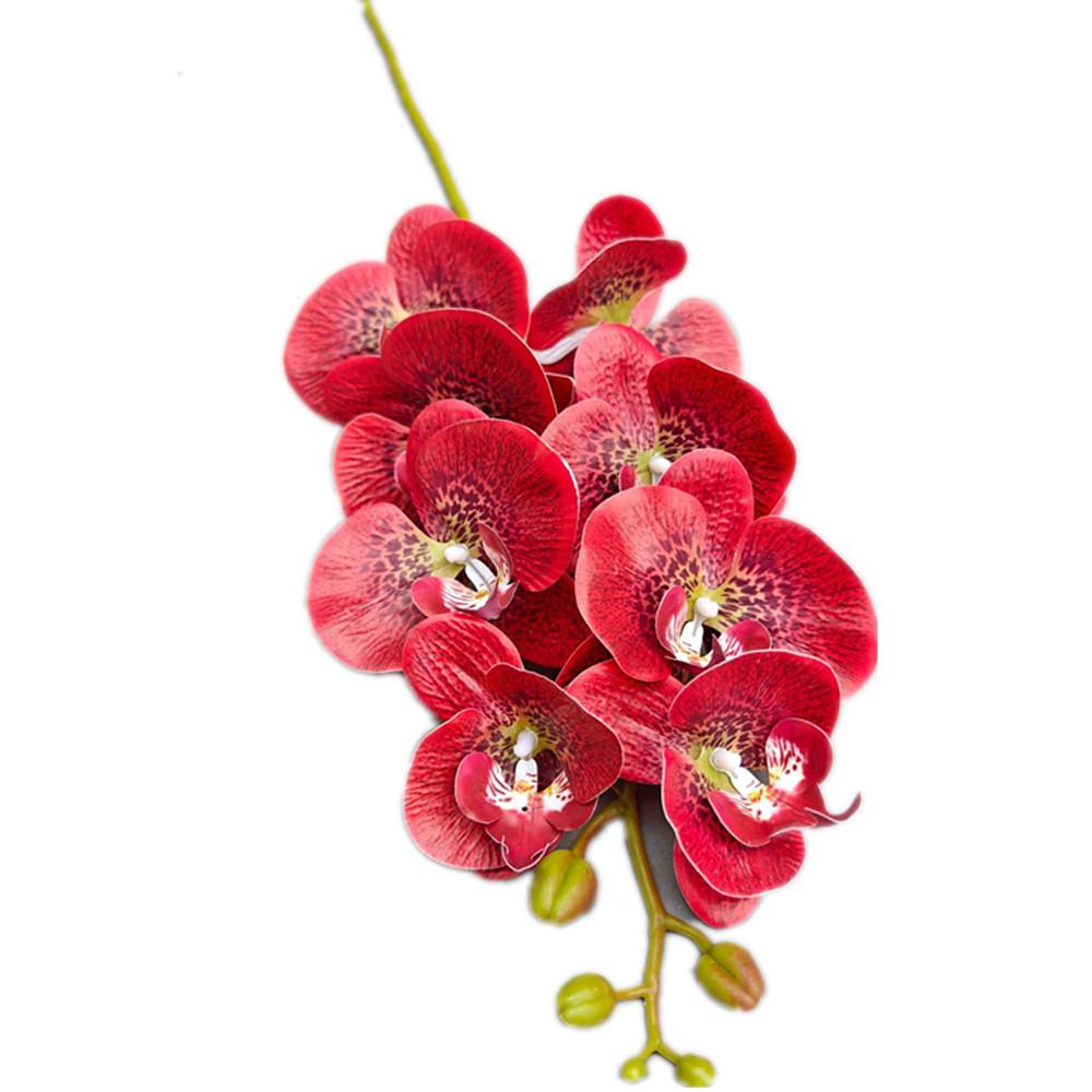 6pcs Real Touch Butterfly Orchid Flower Branch 8 Heads Artificial Latex Large Moth Phalaenopsis