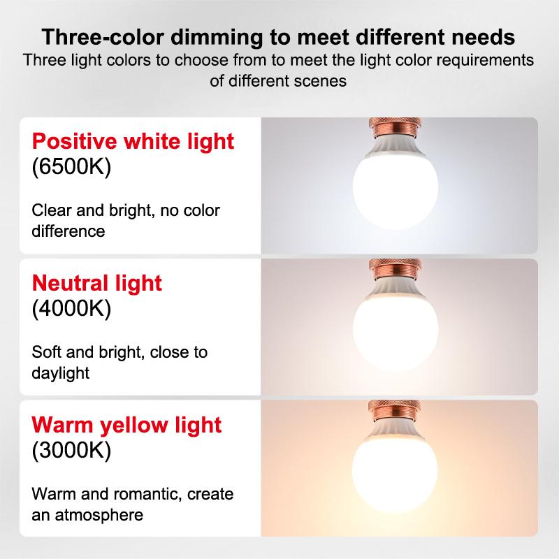 Led Bulbs E27 Ac 220V G80 G95 High Light Led Lamp Energy Saving Cold Warm White Led Light Outdoor Light