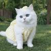 Sweet Dog Plaid Dress Soft Pet Suspenders Cat Pretty Dress Puppy Dresses  Outdoor Activities