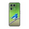 Case For Motorola Edge 50 Ultra Phone Cases For Moto Edge 50 Coque Soft Silicone Cover for Moto Edge 50 Fusion Edge50 Pro Fundas