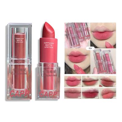 Lipstick Matte Velvet Transparent Packaging Makeup
