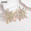 Exaggerated Snowflake Rhinestone Floral Stud Earrings In Stainless Steel