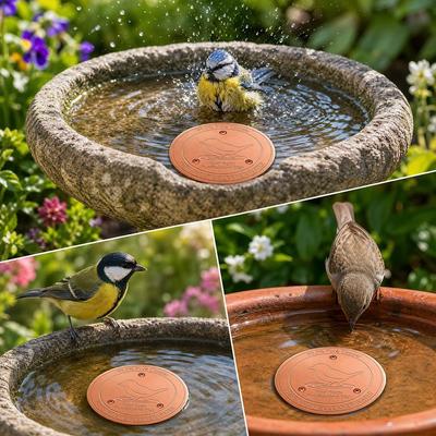 Round Bird Bath Purification Disk 10cm Cleaning Plate New Feeder Tray  Outdoor
