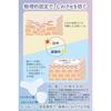 Wrinkle smoothing tape care supervised beauty clinic doctors 52 sheets lift-up goods reducing nasolabial folds sleep wrinkles crows feet forehead easy