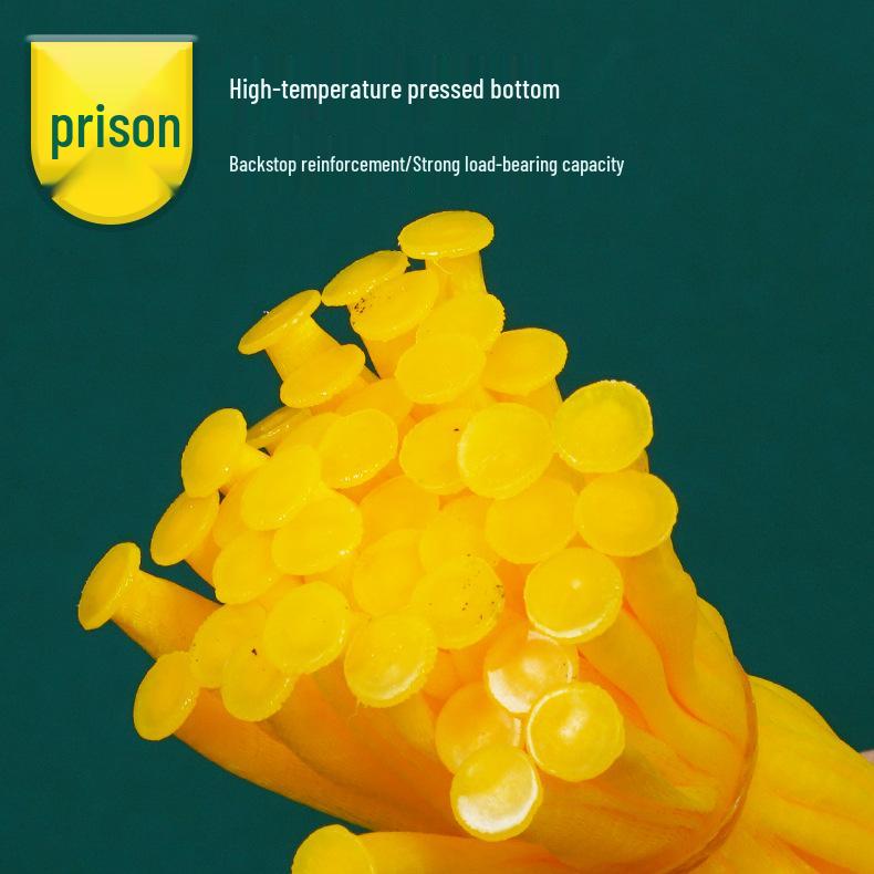 Ingwer- und Knoblauch-Netzbeutel mit kostenlosem Versand