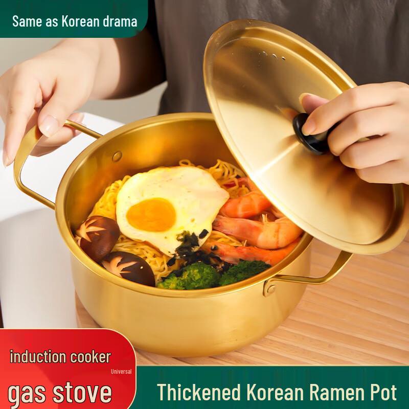 DUTRIEUX 18cm Stainless Steel Noodle & Soup Pot